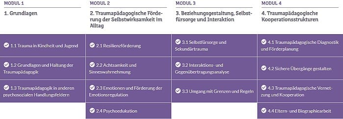 Die einzelnen Module der Traumapädagogik