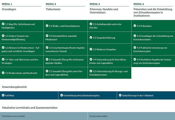 Die einzelnen Module der Lerninhalte der Sexualisierten Gewalt